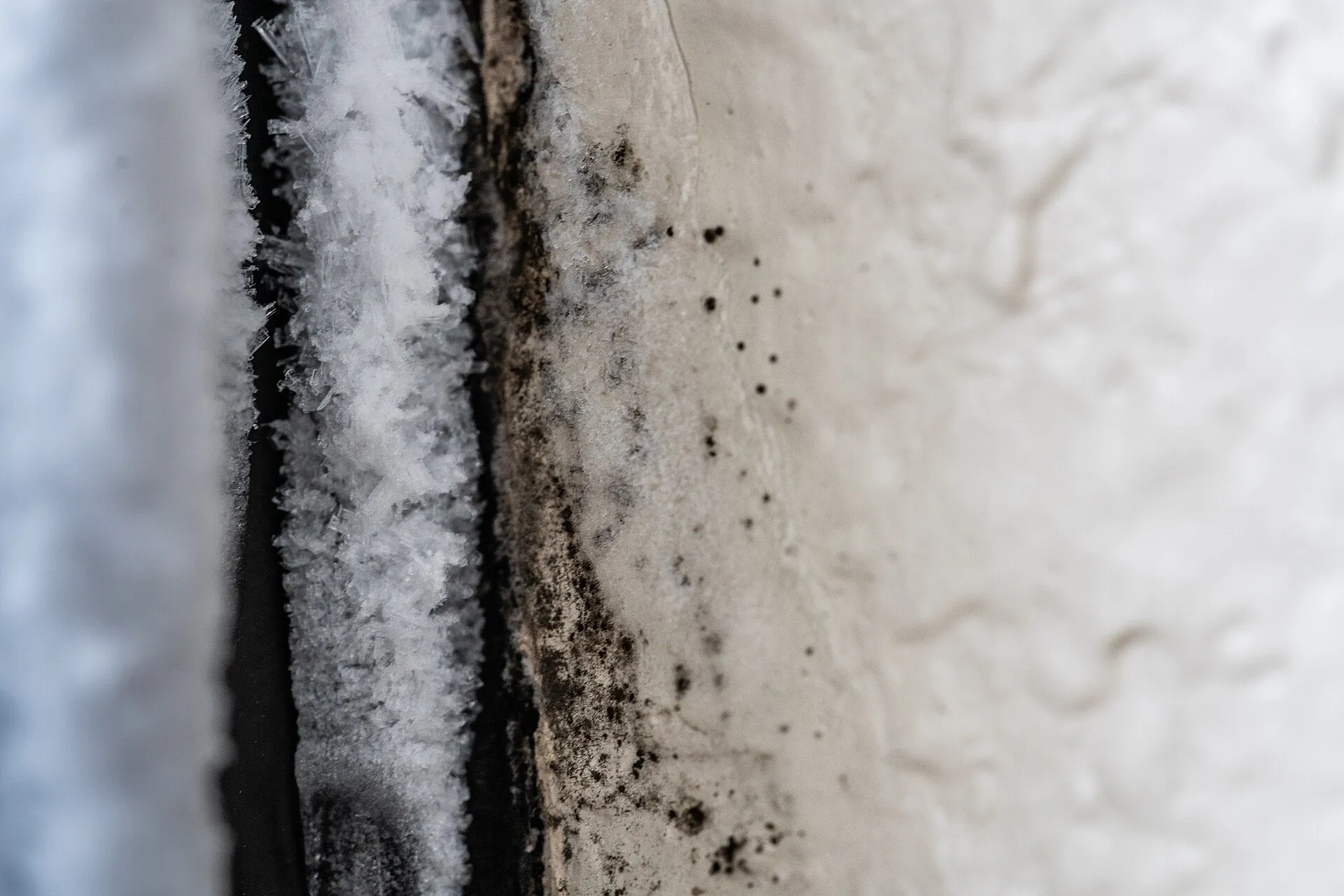 Sorte skimmelpletter og rimfrost i en kold vindueslysning